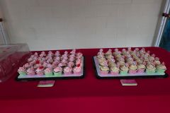 1_3427002895277006942